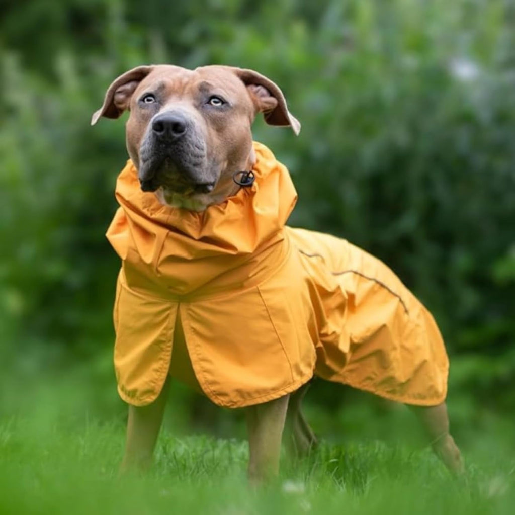 Spark Paws Dog Raincoat, Waterproof Windproof Rain Jacket, for Small Medium Large Extra Large Dogs, Reflective Breathable Full-Body Coverage Dry Suit - Mustard Yellow - 2XL