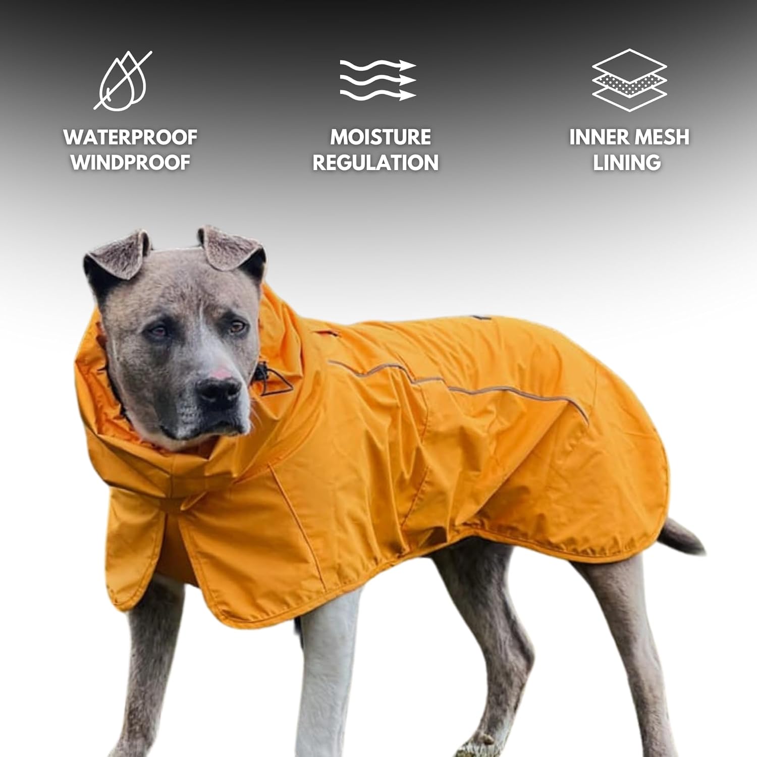 Spark Paws Dog Raincoat, Waterproof Windproof Rain Jacket, for Small Medium Large Extra Large Dogs, Reflective Breathable Full-Body Coverage Dry Suit - Mustard Yellow - 2XL