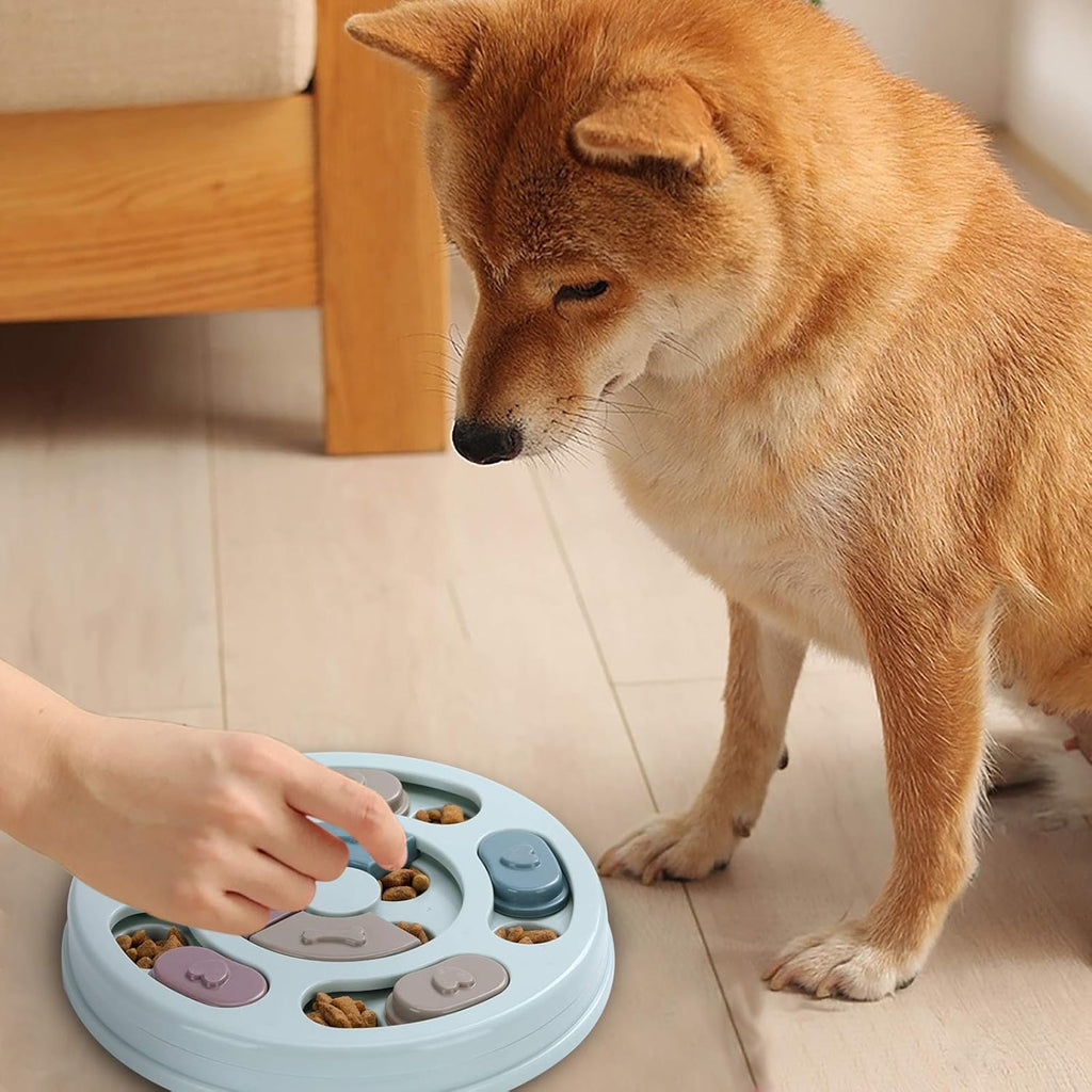 DR CATCH Dog Puzzle – Interactive Food Toy for IQ Training &amp; Mental Enrichment (Blue)
