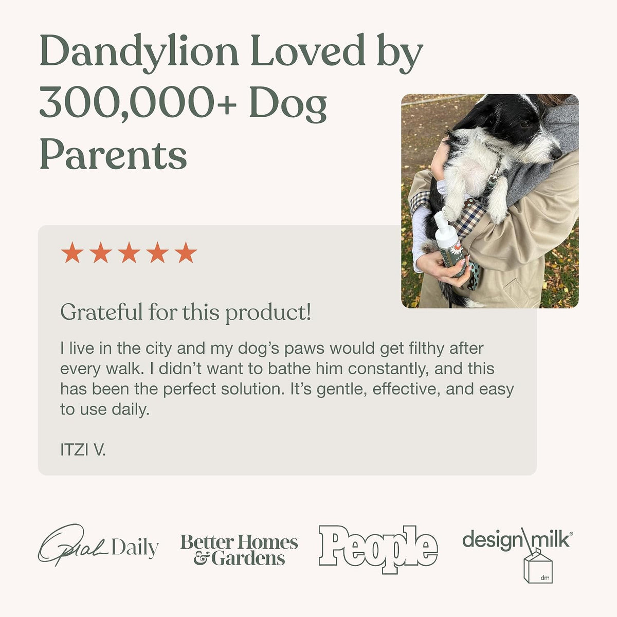 Dandylion Dog Paw Cleaner – Clean Paws No-Rinse Foam Washer with Silicone Brush